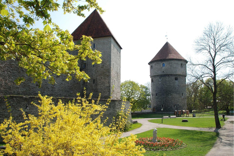 Tallinn: Old Town Highlights Tour with Audio Guide