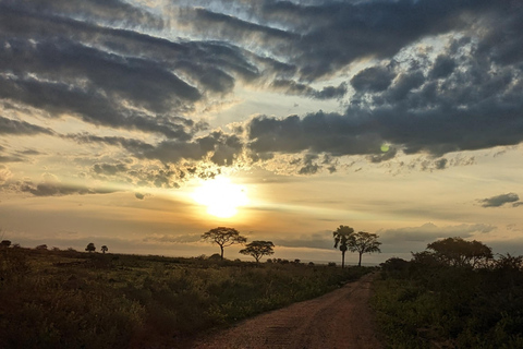 Entebbe flygplatstransfer