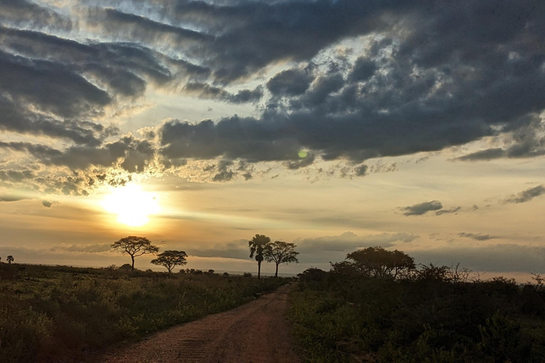 Luchthaventransfers Entebbe