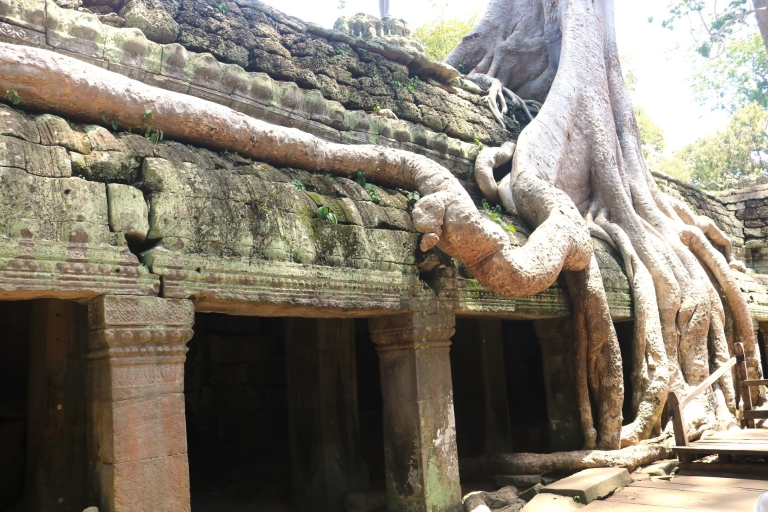 Angkor Wat: Highlights und geführte Tour bei SonnenaufgangAngkor Wat: Tagestour zum Sonnenaufgang in kleiner Gruppe