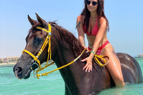 Hurghada: Abenteuerausflug mit Pferden durch die Wüste und zum StrandPrivater Ausritt in Hurghada: Wüste &amp; Strand