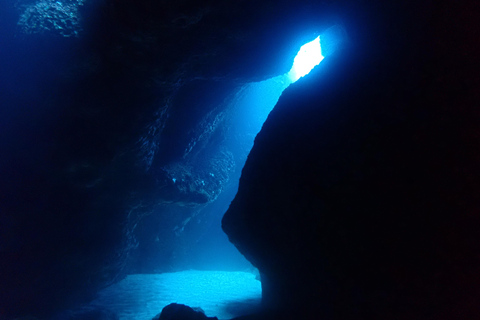 Menorca: 1 single dive (IMPORTANT: Certification REQUIRED)