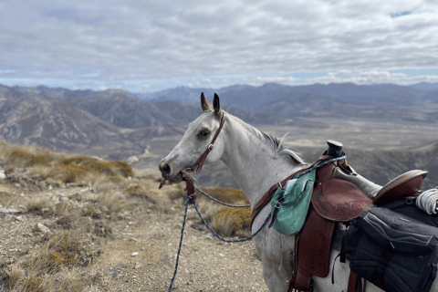 Hanmer Springs: Epic Half-Day Horseback Trekking in St James