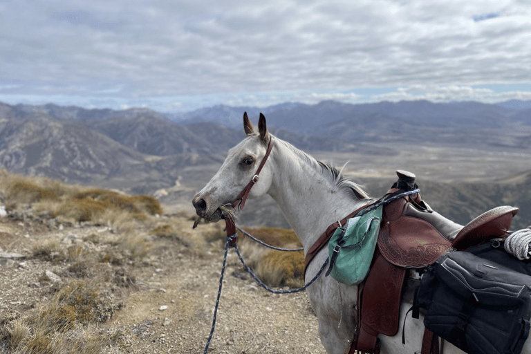 Hanmer Springs: Epic Half-Day Horseback Trekking in St James