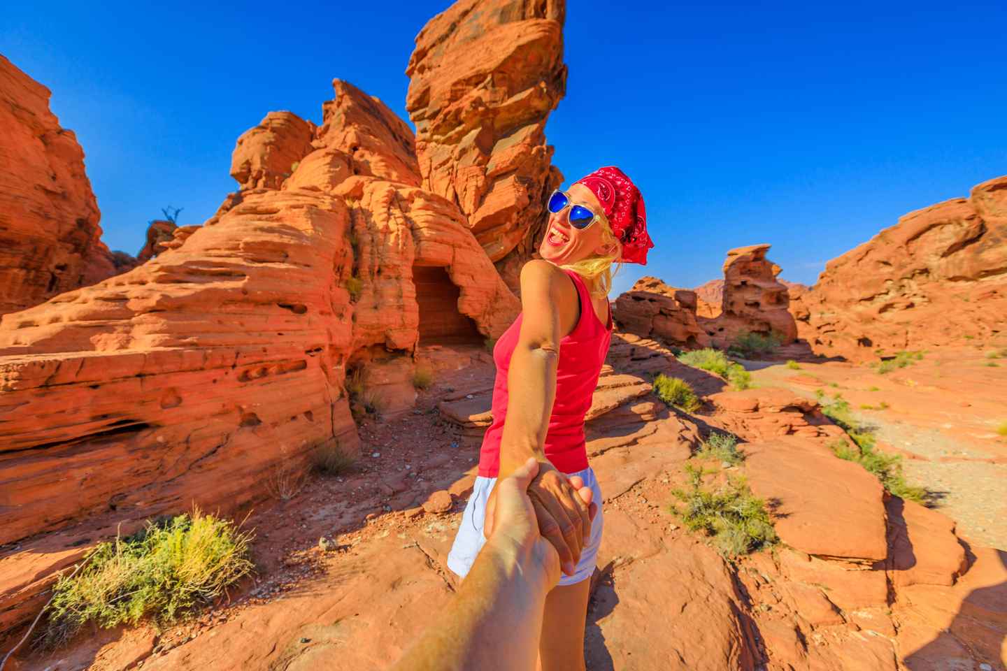 Las Vegas: Valley of Fire State Park Guided Tour - Las Vegas: Valley of Fire State Park Guided Tour