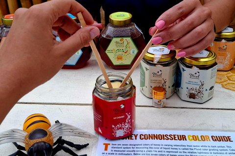 Boquete's Original Honey Tasting: 20+ Wild & Native Honeys