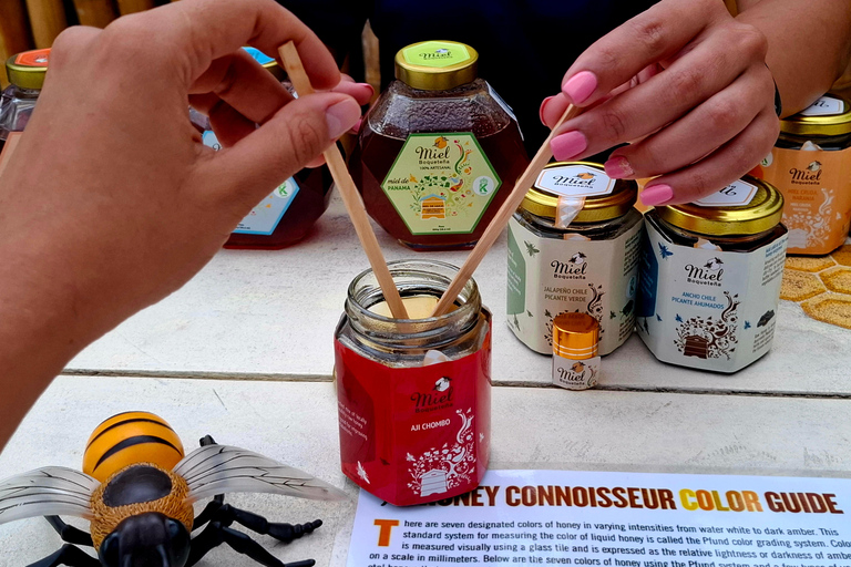 Boquete's Original Honey Tasting: 20+ Wild & Native Honeys