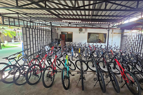 جولة شيانغ ماي بالدراجة: في ريف لانا مع مرشدرحلة ركوب الدراجات المشتركة لاستكشاف ريف لانا