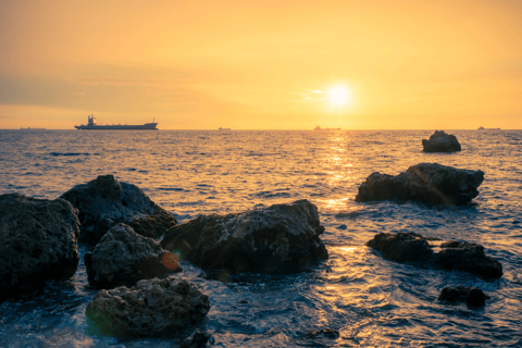 Kaohsiung: Fo Guang Shan, Lotus Pond, Qishan & Pier-2 Tour