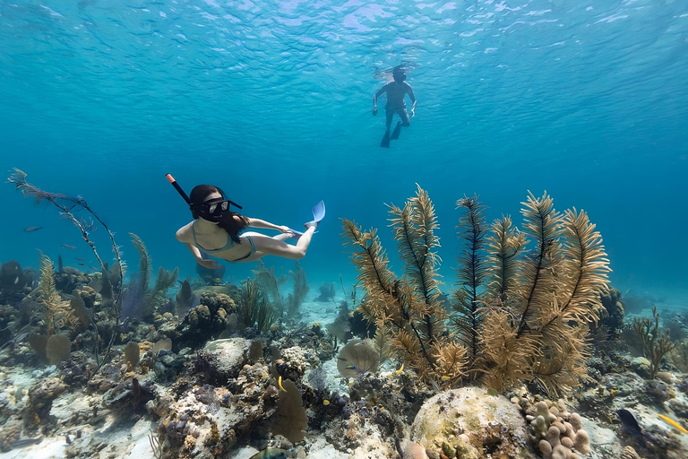 Bali: Snorkeling on 2 spots with Lunch and Transport