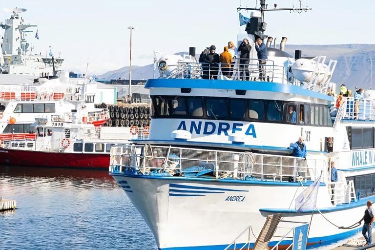 Reykjavik: tour a piedi sulla storia marittima