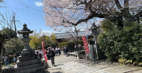 Kyoto:Philosopher’s Path Seasonal Walk