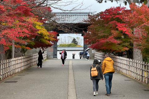 Kanazawa: Privat halvdagsutflykt - Trädgård, slott, Geisha