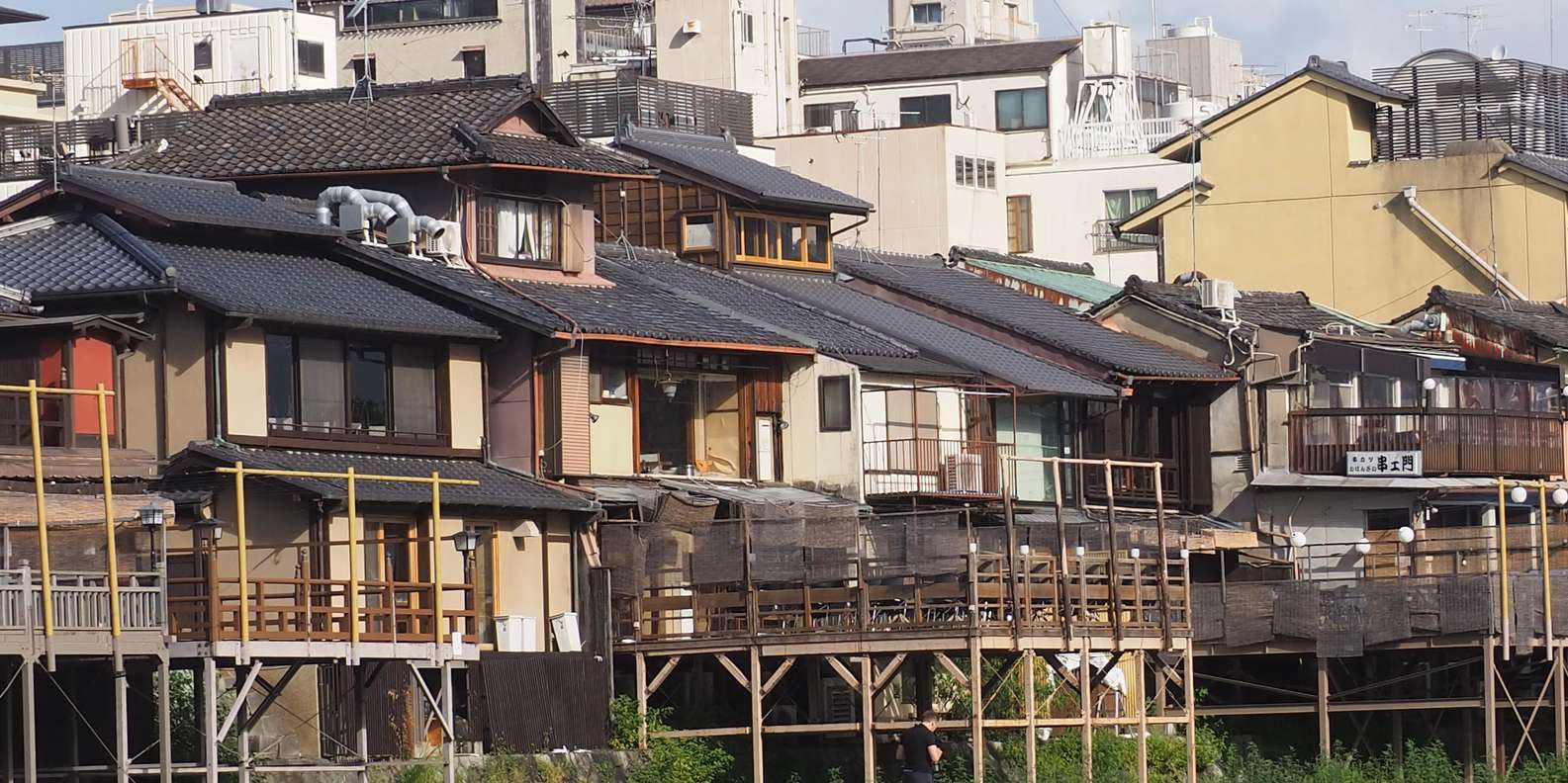 Kyoto experience — temples, geisha, bamboo grove — image 46