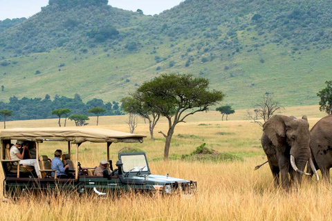 Zanzibar: Fly to Mikumi National Park for a Day Safari