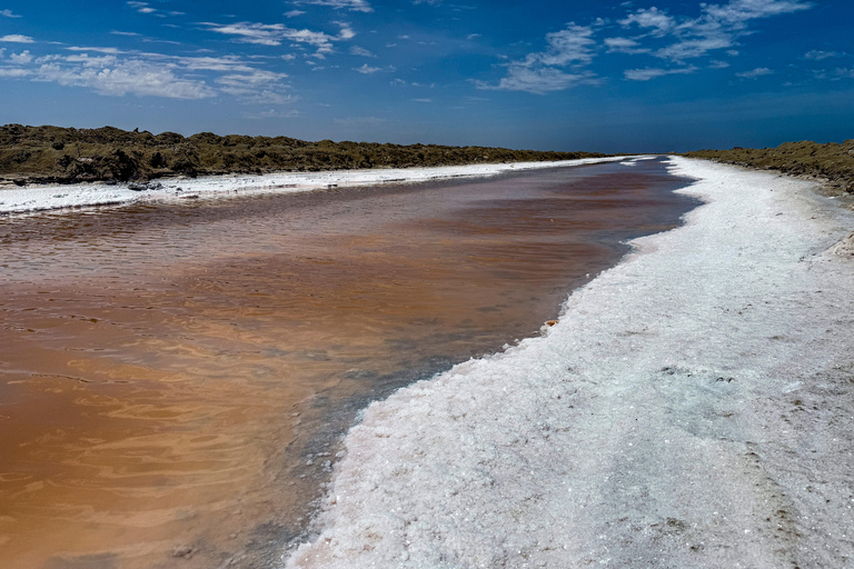 Walvis Bay: Sandwich Harbour Self-Drive 4x4 Tour