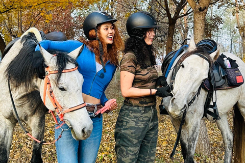 بكين: تجربة ركوب الخيل مع عشاء