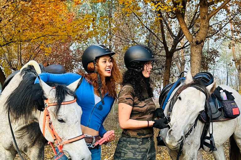 بكين: تجربة ركوب الخيل مع عشاء