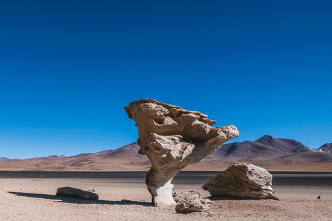 From La Paz: Uyuni and Red Lagoon with bus trip |5-day Tour|