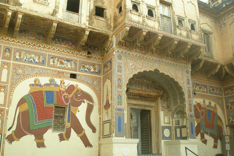 Visite de la faune et de la flore du Rajasthan