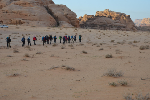 Wadi Rum: Sunset Jeep tour and night in Bivouac