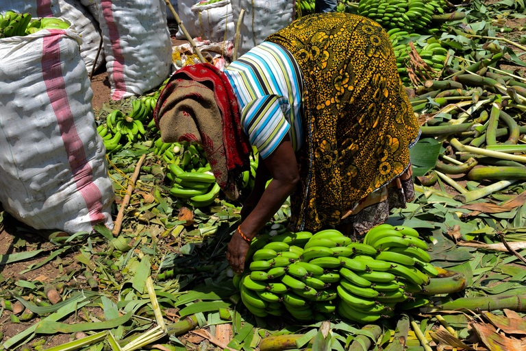 Mto wa Mbu: Waterfall, Maasai Boma, Village, & Balaa Hill Mto wa Mbu Tour & Canoe Ride on Lake Manyara