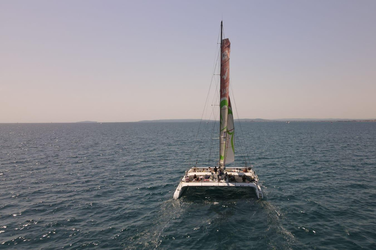 Port Camargue : Visite d&#039;une demi-journée à bord d&#039;un catamaran de coursePort Camargue : Excursion d&#039;une demi-journée à bord d&#039;un catamaran de course
