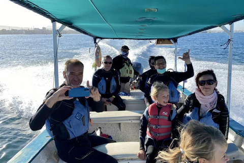 La Paz: Whale Shark Swimming Adventure with Marine Biologist