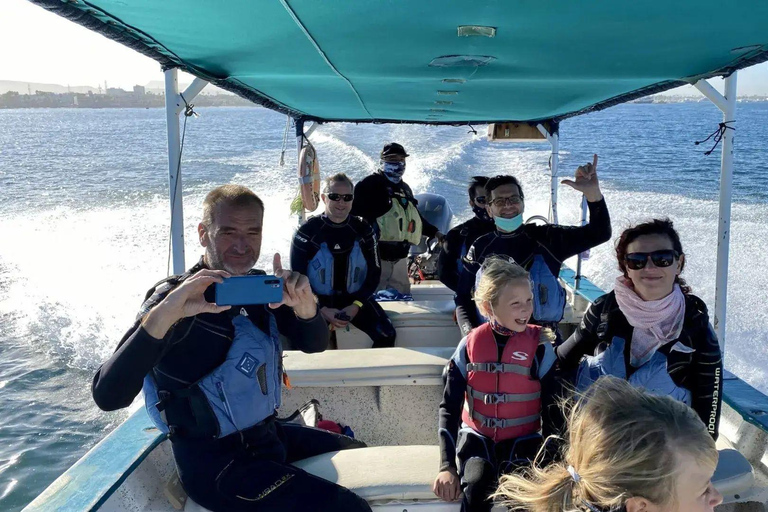 La Paz: Whale Shark Swimming Adventure with Marine Biologist