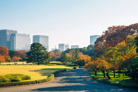 Tokyo: Private Luxury Day Tour with Hotel Pickup and DropOff