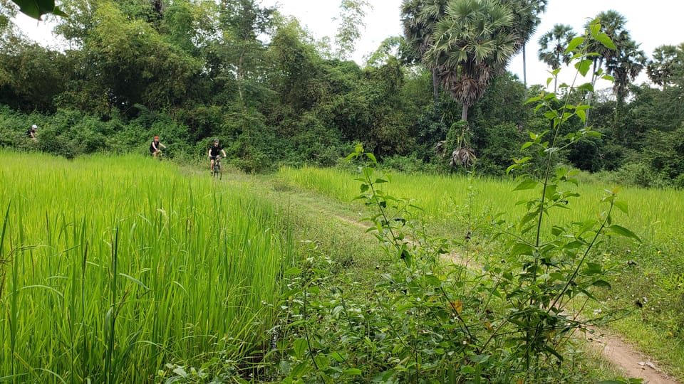 Bike Through Siem Reap Countryside With Local Guide Getyourguide