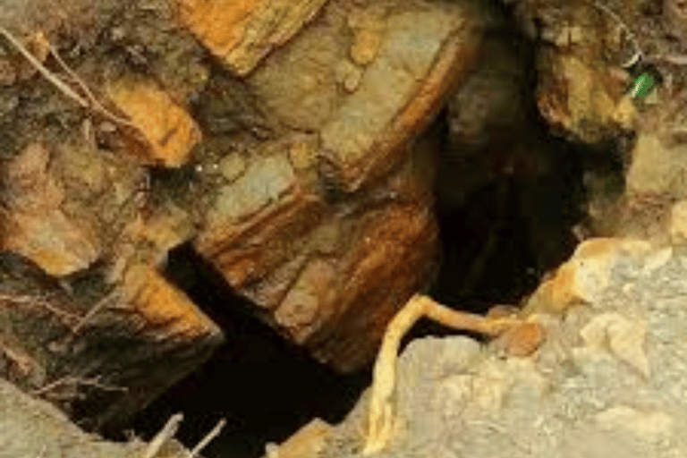 From Ella: Nildiya Pokuna With Tuk-Tuk Transfer