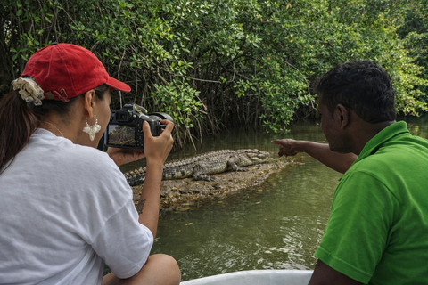Mirissa to Matara: Crocodile, Bird, Monkey Photography Tour Shared Wildlife Photography Boat Tour - 2 Hours