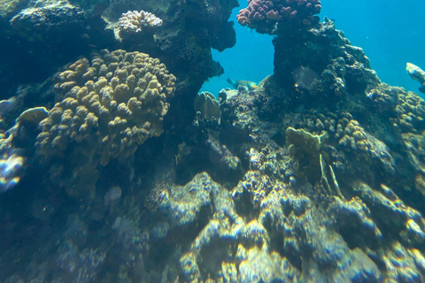 Jeddah: Beginner Scuba Diving Course with Certification