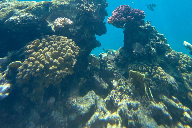 Jeddah: Beginner Scuba Diving Course with Certification