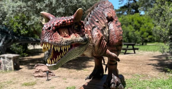 A life-size model of a horned, red-brown dinosaur with open jaws standing on a path between trees in a park