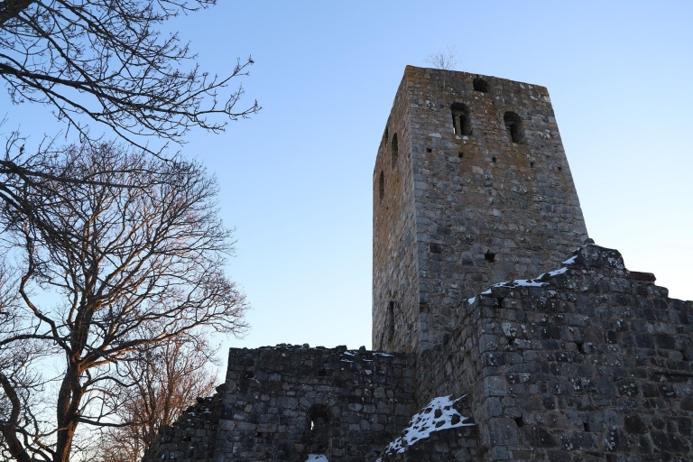 Au départ de Stockholm : circuit privé de 9 heures sur l'histoire des Vikings d'Uppsala