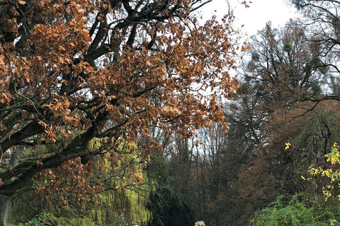 كاسل: جولة الهروب من المدينة - جولة غامضة مع قصةكاسل: جولة الهروب من المدينة - جولة محيرة مع قصة