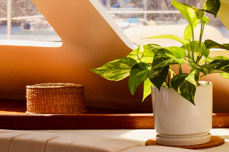 Catamaran cruise around Ibiza with Mojito Charter