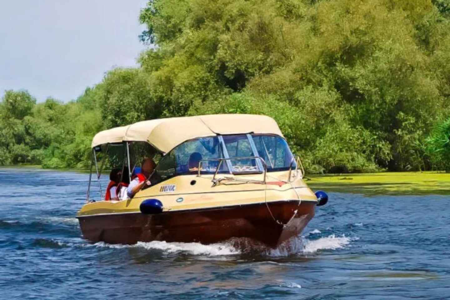 Sulina: Danube Delta Boat Tour with Wildlife Spotting