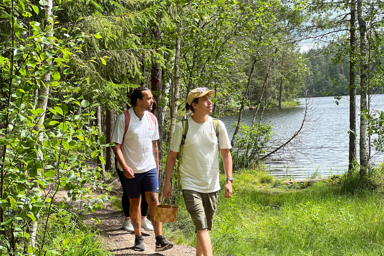 从赫尔辛基出发：努克西奥国家公园的迷人下午