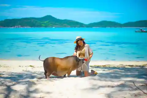 Koh Samui: Private Longtail Boat to Pig Island with Snorkel