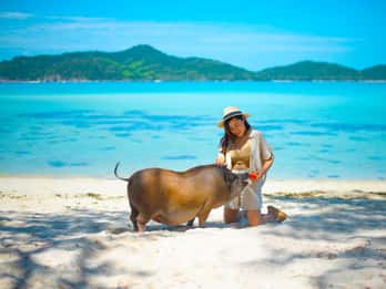 Koh Samui: Private Longtail Boat to Pig Island with Snorkel