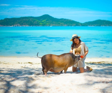 Koh Samui: Private Longtail Boat to Pig Island with Snorkel