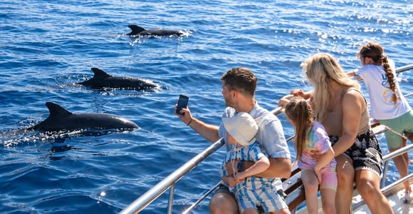 Tenerife: Whale & Dolphin Watching Cruise with Swim Stop