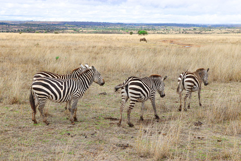 Rondleiding Nationaal Park Nairobi, halve dag