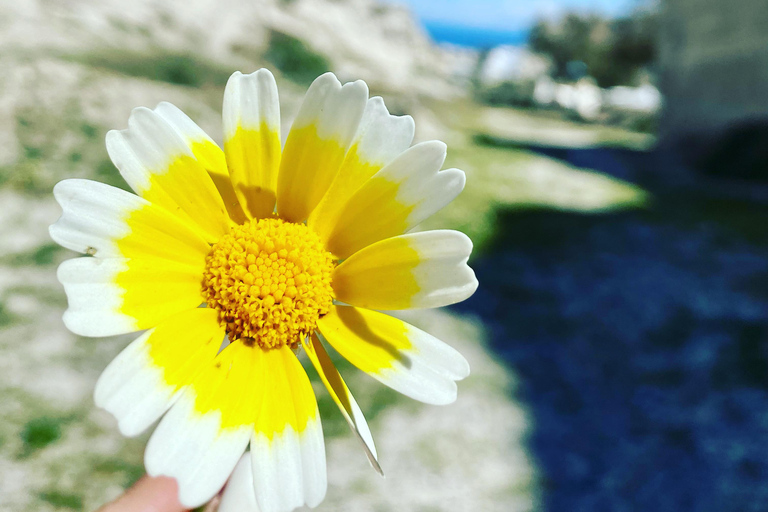 Santorini: Cata de Vinos y Visita a los Asentamientos RupestresTour privado