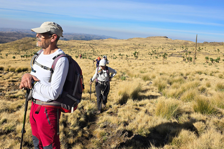 Äthiopien: 29-tägige Tour durch den Norden, Osten und Süden