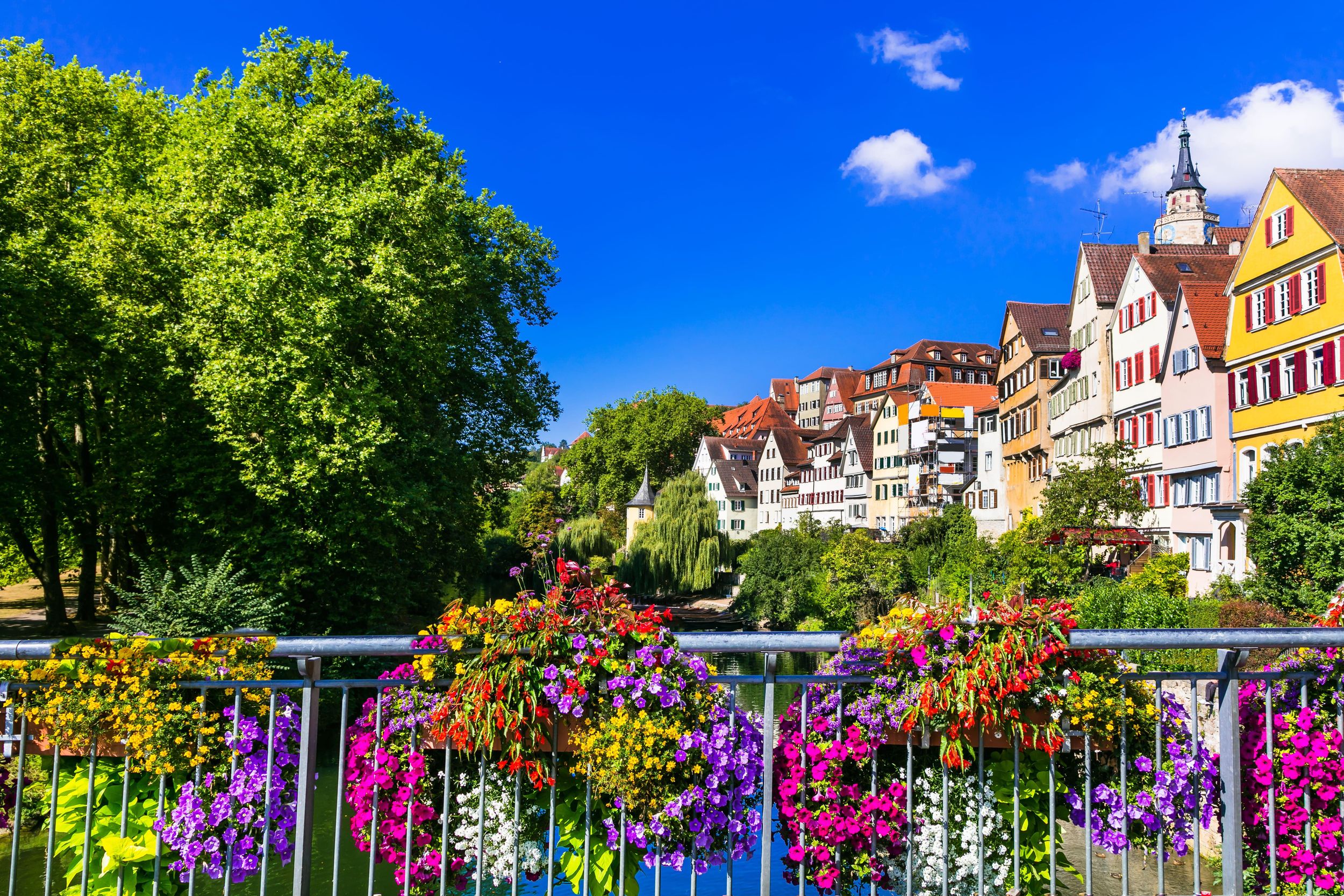 Tübingen: Express-Spaziergang mit einem Einheimischen
