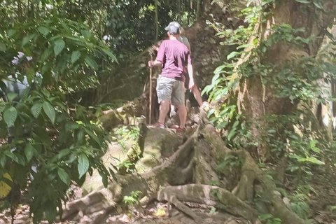 St Kitts: Panaramic Rainforests and Beach Excursions